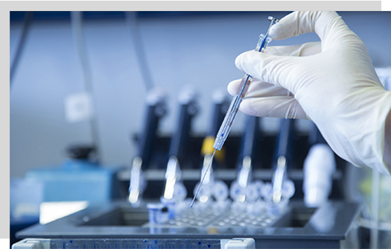 專業(yè)綜合技術(shù)能力 專業(yè)綜合技術(shù)能力